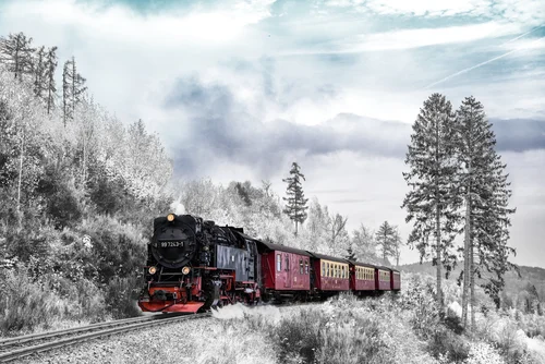 поезд, паровоз, локомотив, зима, времена года, лес, деревья, снег, белые, черные, красные