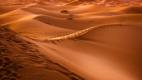 песок, холмы, пустыня, рельеф, коричневые