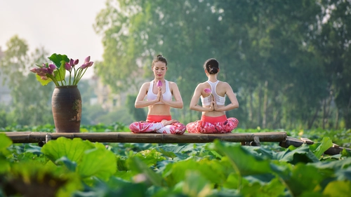 девушки, азиатки, йога, медитация, природа, цветы, зелёные, розовые, серые