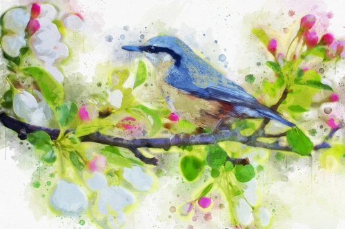 рисованные, птица, ветка, цветы, акварель, бежевый, бежевые, салатовые, салатовый, голубой, голубые