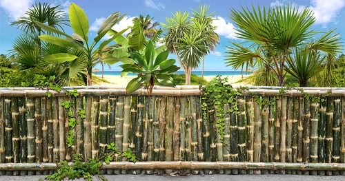 забор, бамбук, растения, пляж, зелёные, бамбуковая изгородь