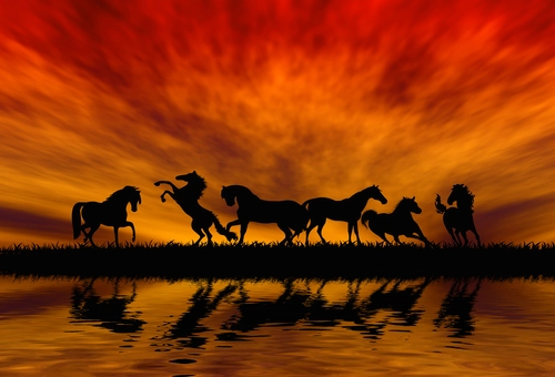 табун, лошади, животные, закат, силуэт, красные, черные