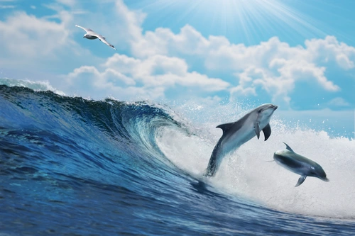 волна, дельфины, животные, океан, синие, голубые