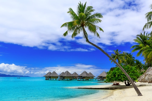 пальма, курорт, бунгало, пляж, отдых, синие, белые, зеленые