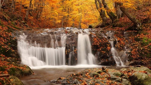 каскад, водопад, река, лес, осень, оранжевые, коричневые