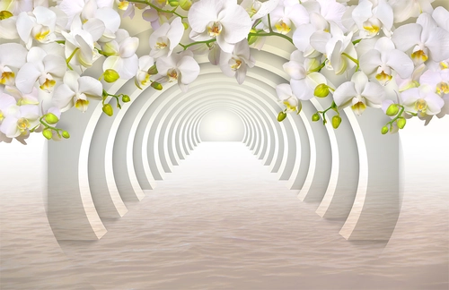 цветы, орхидеи, круглый тоннель, арки, ветви, белые, 3д