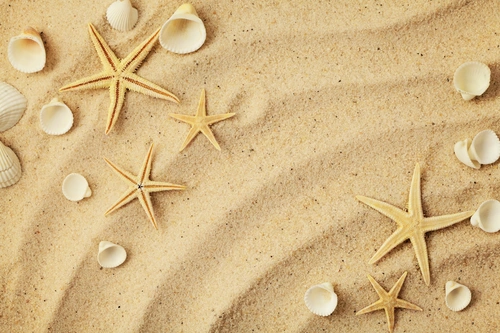 предметы, пляж, песок, ракушки, морская звезда, лето, бежевые