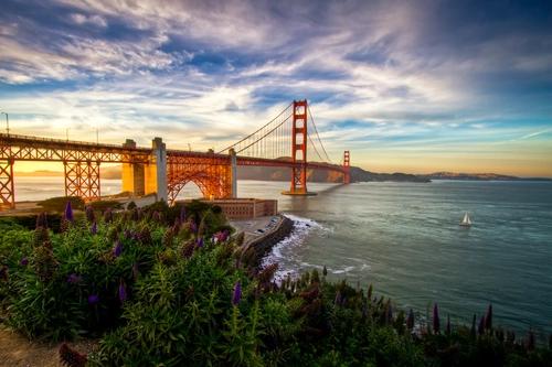 мост Золотые ворота, Сна-Франциско, залив, цветы, зеленые, синие, желтые