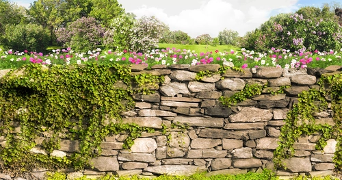 каменный забор, трава, цветы, кустарники, зелёные, бежевые