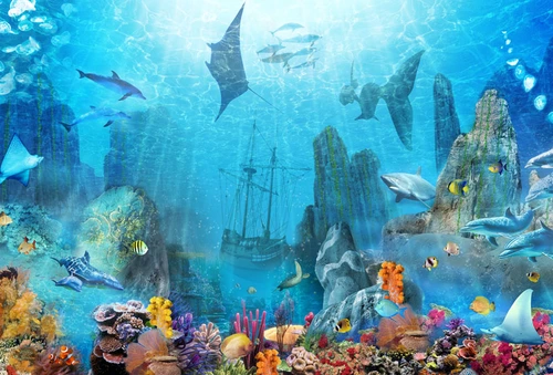 море, океан, подводный мир, подводное царство, корабль, акула, дельфин, рыба, рыбы, медуза, медузы, кораллы, голубые