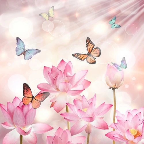 кувшинка, бабочка, розовые, свет, блики