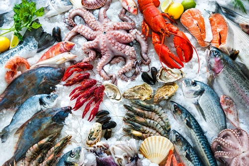 морепродукты, лед, осьминог, рыба, еда, ресторан, белые, синие