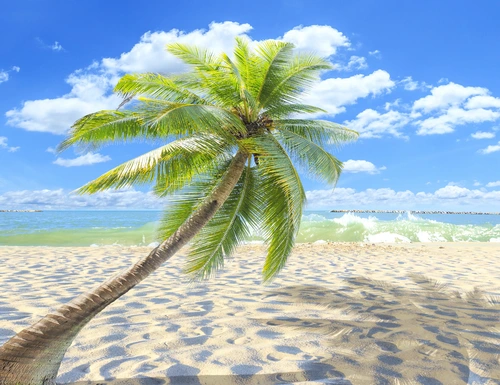 пальма, песок, остров, прибой, волны, зеленые, коричневые, синие, белые