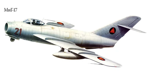 МиГ 17, самолёт, пилот, полёт, серые