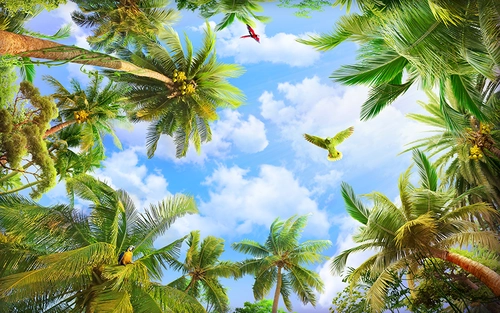 небо, пальмы, птицы, попугаи, голубые, зеленые