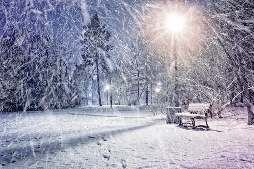 снег, метель, зима, природа, парк, ночь, белые, черные, серые