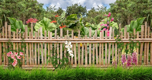 забор, бамбук, цветы, растения, трава, кустарник, зелёные