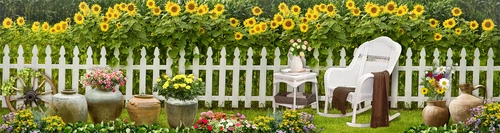 забор, вазы, цветы, подсолнухи, зелёные, белые