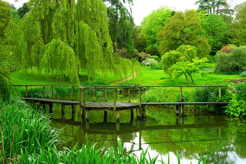 мосток, природа, англия, парк, зеленые
