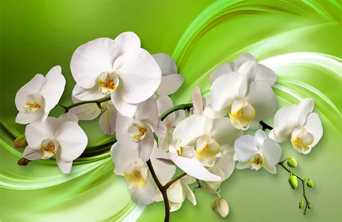 3d, 3д,  орхидея, орхидеи, ветка, зеленая, белый, бутон, узор