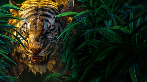 хищник, тигр, трава, шрам, животное, тропики