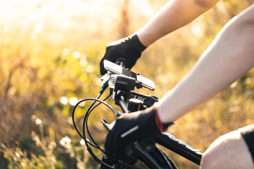 спорт, велосипед, велоспорт, перчатки, путешествие, бежевые, черные, зеленые, светлые