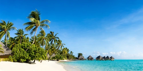 остров, бунгало, природа, пляж, пальма, зеленые, синие, голубые