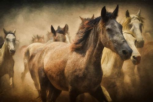 лошадь, животные, лошади, коричневый, коричневые, бежевый, бежевые, скачки
