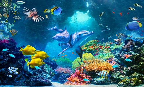 подводный мир, океан, дельфины, рыбы, кораллы, синие, разноцветные