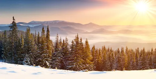 небо, солнце, снег, зима, деревья, лес, ели, горы, холмы, бежевые, коричневые, белые