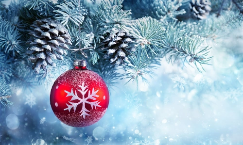 елка, шар, шишка, снег, снежинка, новый год, красные, белые