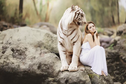 тигр, хищник, зверь, животные, девушка, светлые, белые, бежевые, серые