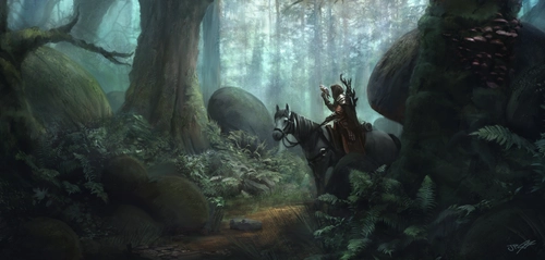 лес, туман, деревья, всадник на коне, камни, тропа, папоротник, серые, коричневые, зелёные