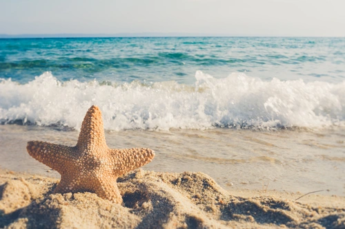 морская звезда, пляж, океан, волны, синие, бежевые