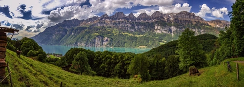 горный хребет, природа, лес, деревья, швейцария, серые, зеленые, белые