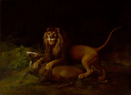 лев, охота, животные, природа, черные, коричневые, картина, живопись