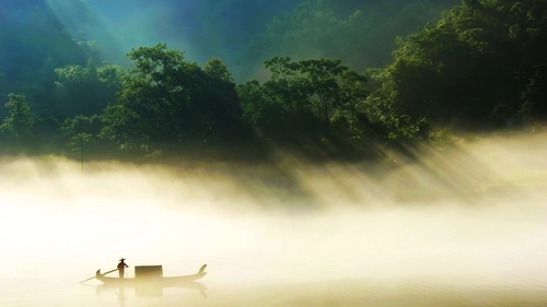 лодка, река, вьетнам, джунгли, лес, туман, зеленые