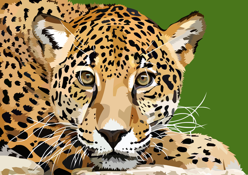 леопард, вектор, арт, желтые, зеленые, хищник