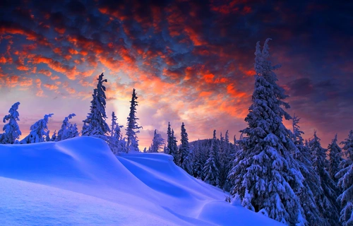 небо, облака, лес, деревья, ели, снег, сугробы, горы, оранжевые, голубые