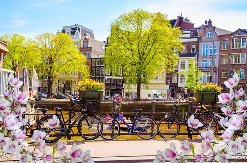 амстердам, набережная, велоспиде, цветы, здания, черные, серые, зеленые