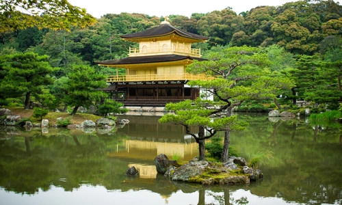дерево, озеро, природа, пагода, желтые, зеленые, япония