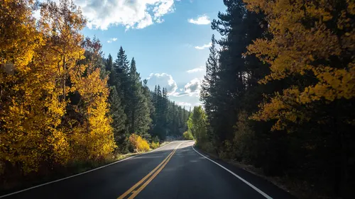 лес, дорога, асфальт, пейзаж, осень, разметка, жёлтые, зелёные, небо, облака