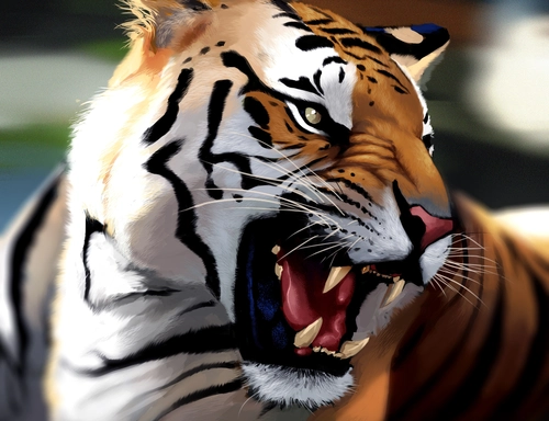 тигр, арт, вектор, хищник, белые, черные, рыжие