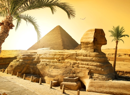 сфинкс, египет, пальма, пирамида, желтые, коричневые, бежевые