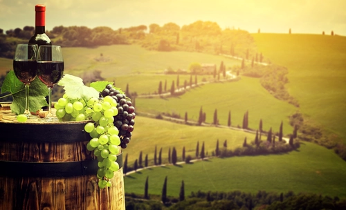 вино, бочка, виноград, поле, италия, зеленые, черные, коричневые