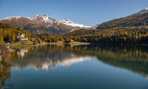 Швейцария, горы, озеро, осень, Озеро Санкт-Мориц