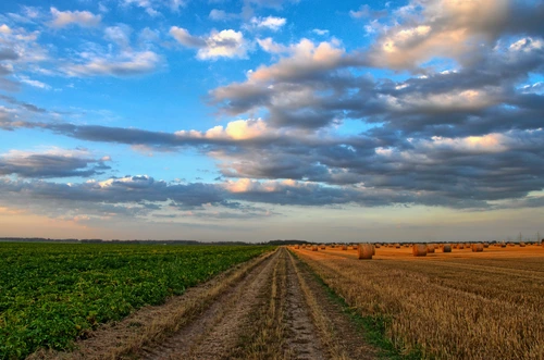 дорога, поле, пшеница, солнечный день, небо, облака, стог, стога, сено, солома, зеленые, голубые, бежевые