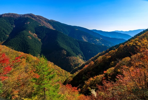горы, холмы, склоны, природа, япония, синие, зеленые, желтые