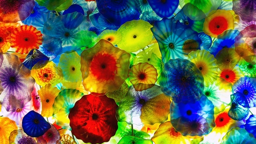 медузы, море, разноцветные, красные, синие, желтые, зеленые