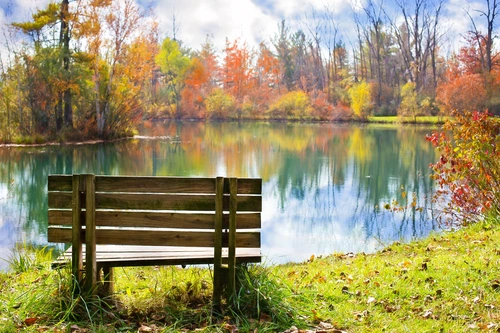 скамейка, озеро, природа, осень, зеленые, коричневые